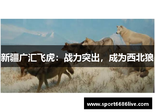 新疆广汇飞虎：战力突出，成为西北狼