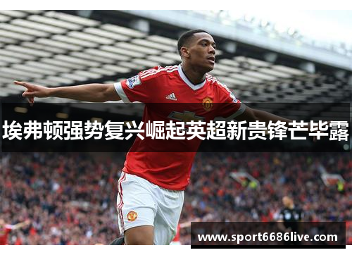 埃弗顿强势复兴崛起英超新贵锋芒毕露