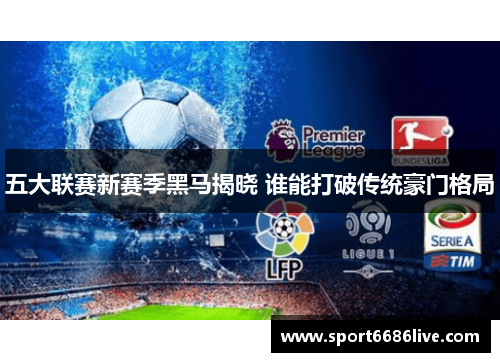 五大联赛新赛季黑马揭晓 谁能打破传统豪门格局